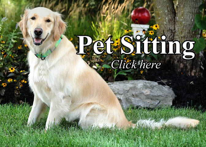 House pet Sitting Overland Park Kansas area,pet sitter,vacation,home,olathe,wolf valley,dog,cat,house,photographer